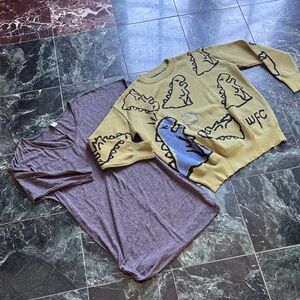 Dinosaur Print Sweater and Gray T-Shirt dress size small lady’s